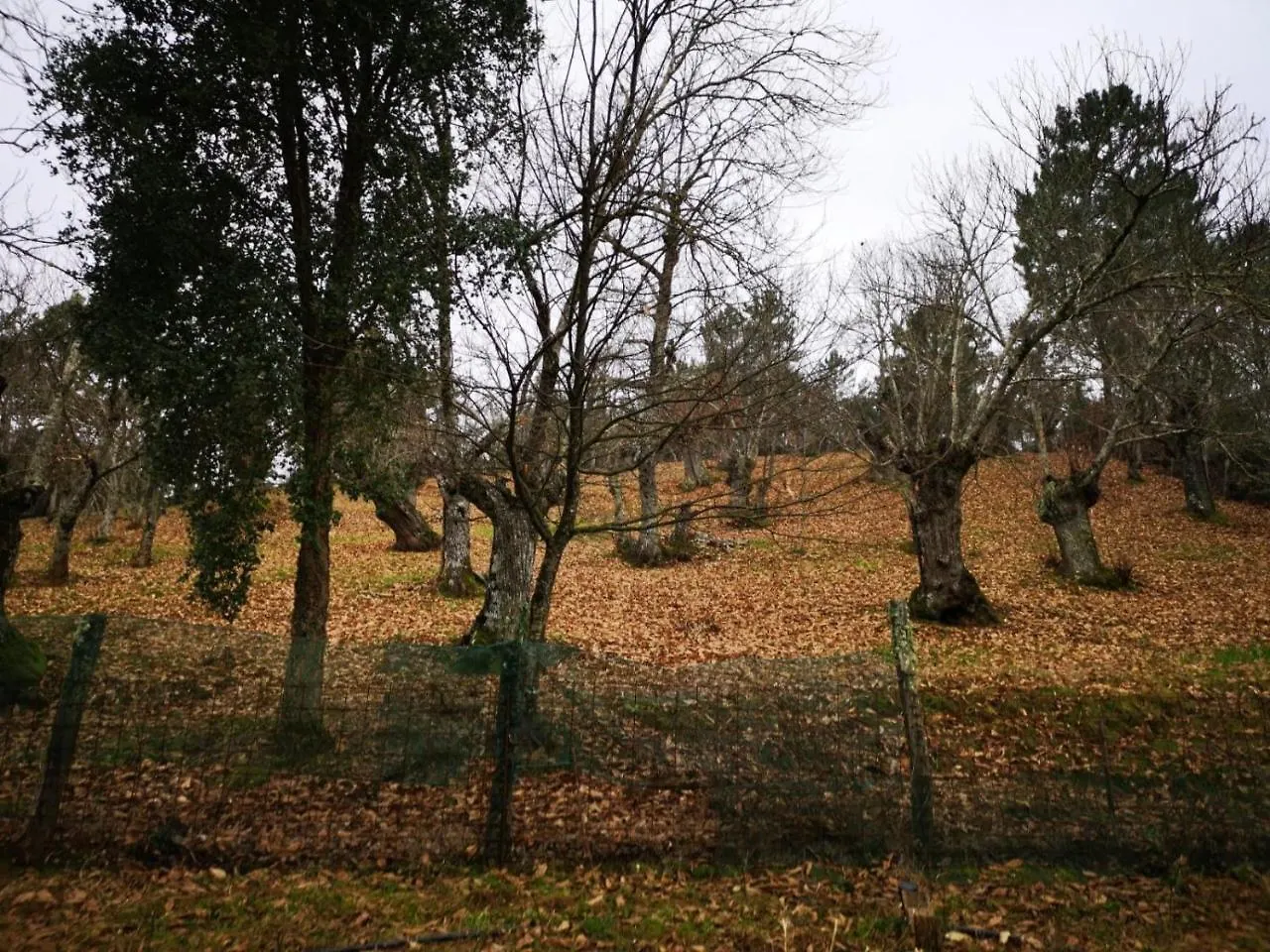 Country house Valle Granado Fuenteheridos